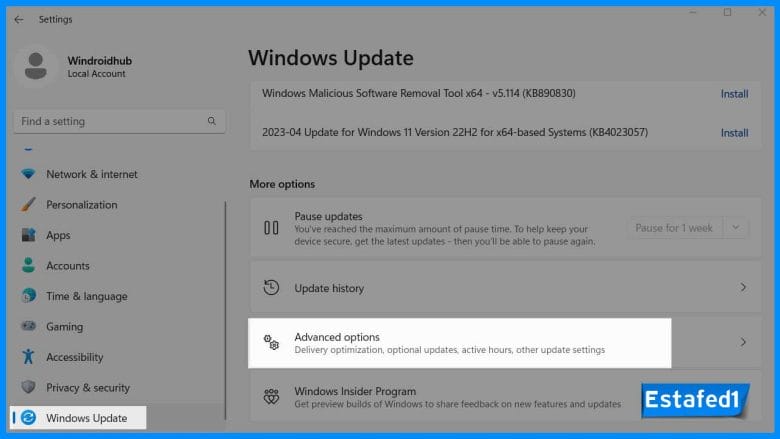 Windows Update - Advanced Options